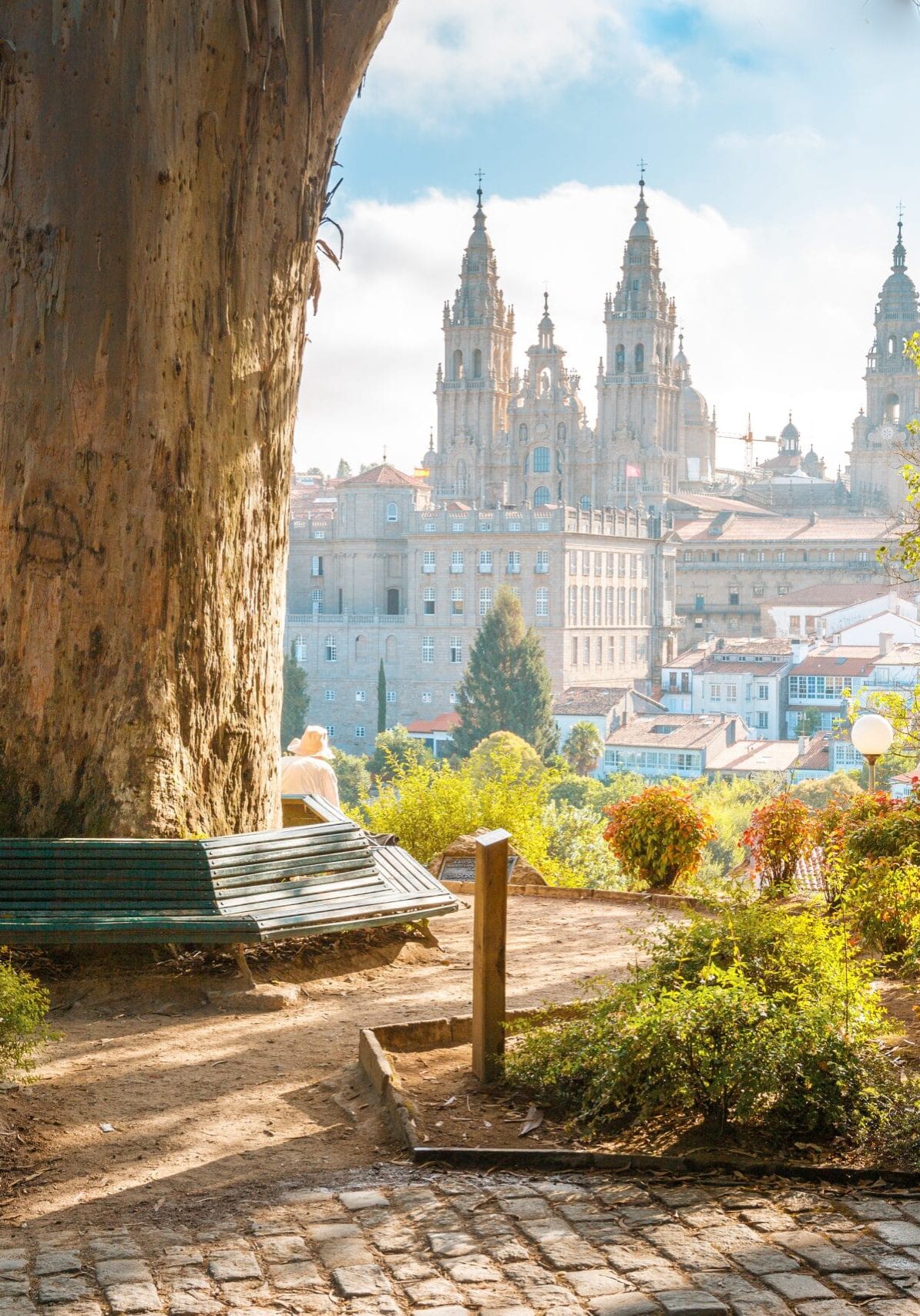 Santiago de Compostela Cathedral at sunrise, public park panorama, Galicia, Spain